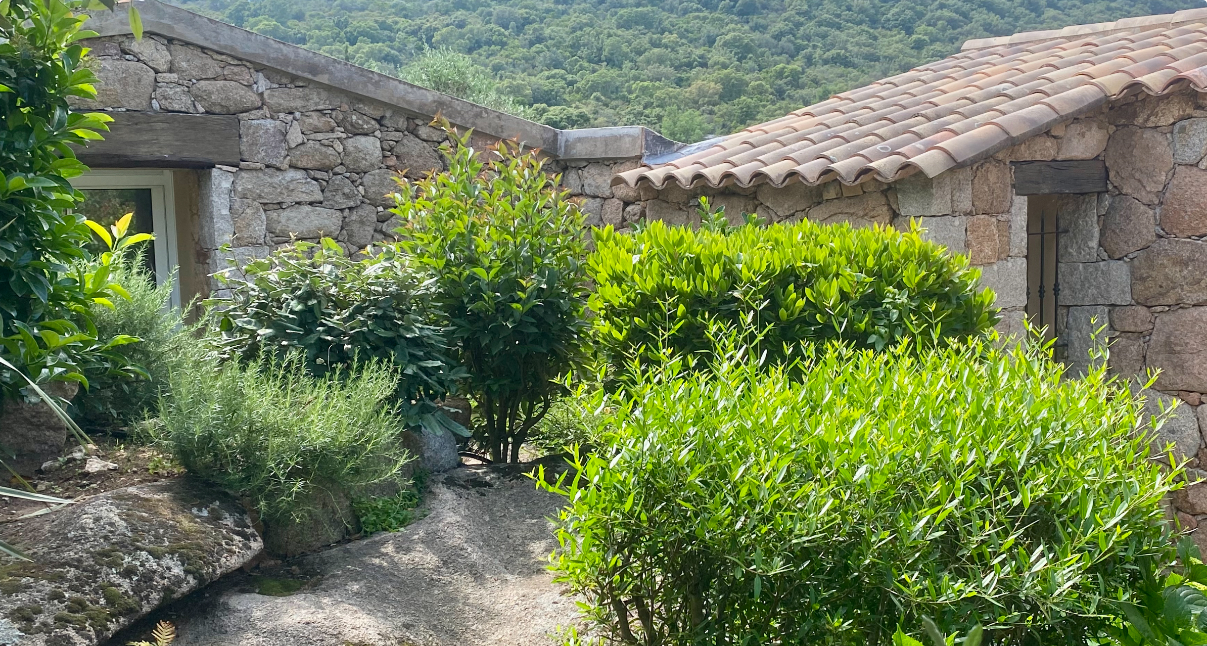 Location Villa Porto-Vecchio : Luxe et Piscine Privée avec Vue Maquis